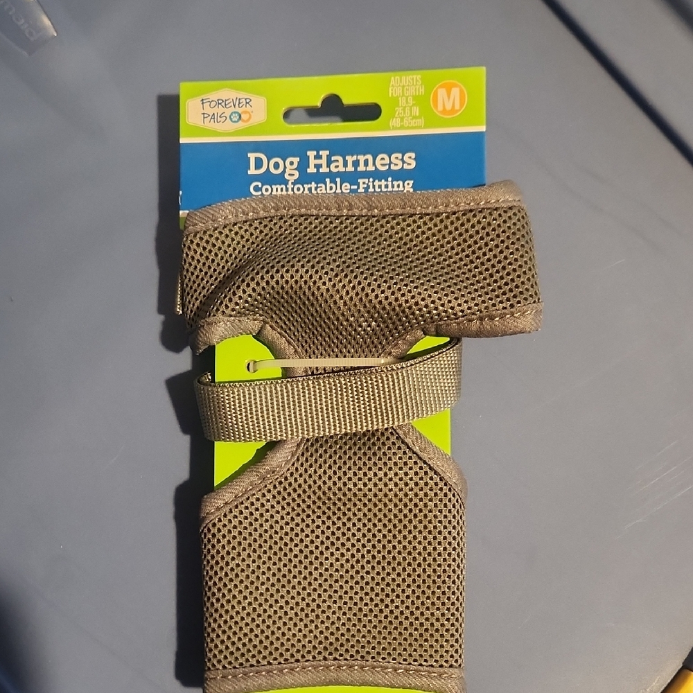 Forever 21 Dog Harness - Gray